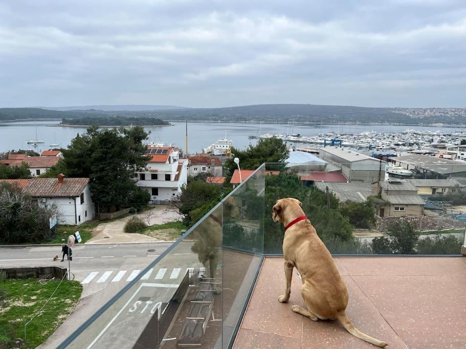 Panorama Penthouse Пунат Экстерьер фото